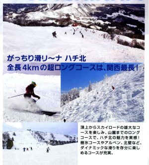 ハチ北北壁