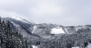 ハチ北　よなごや